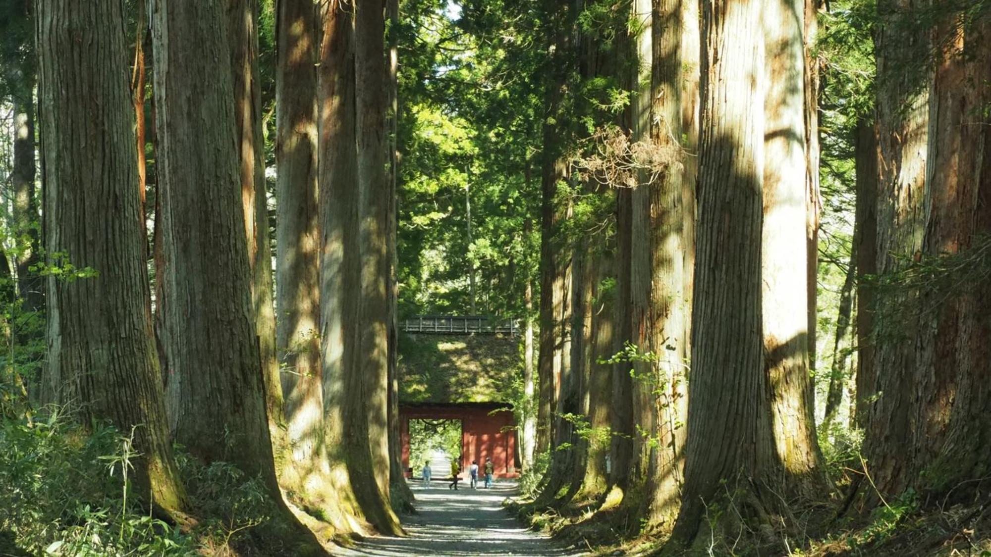 Toyoko Inn Nagano Eki Zenkoji Guchi Экстерьер фото